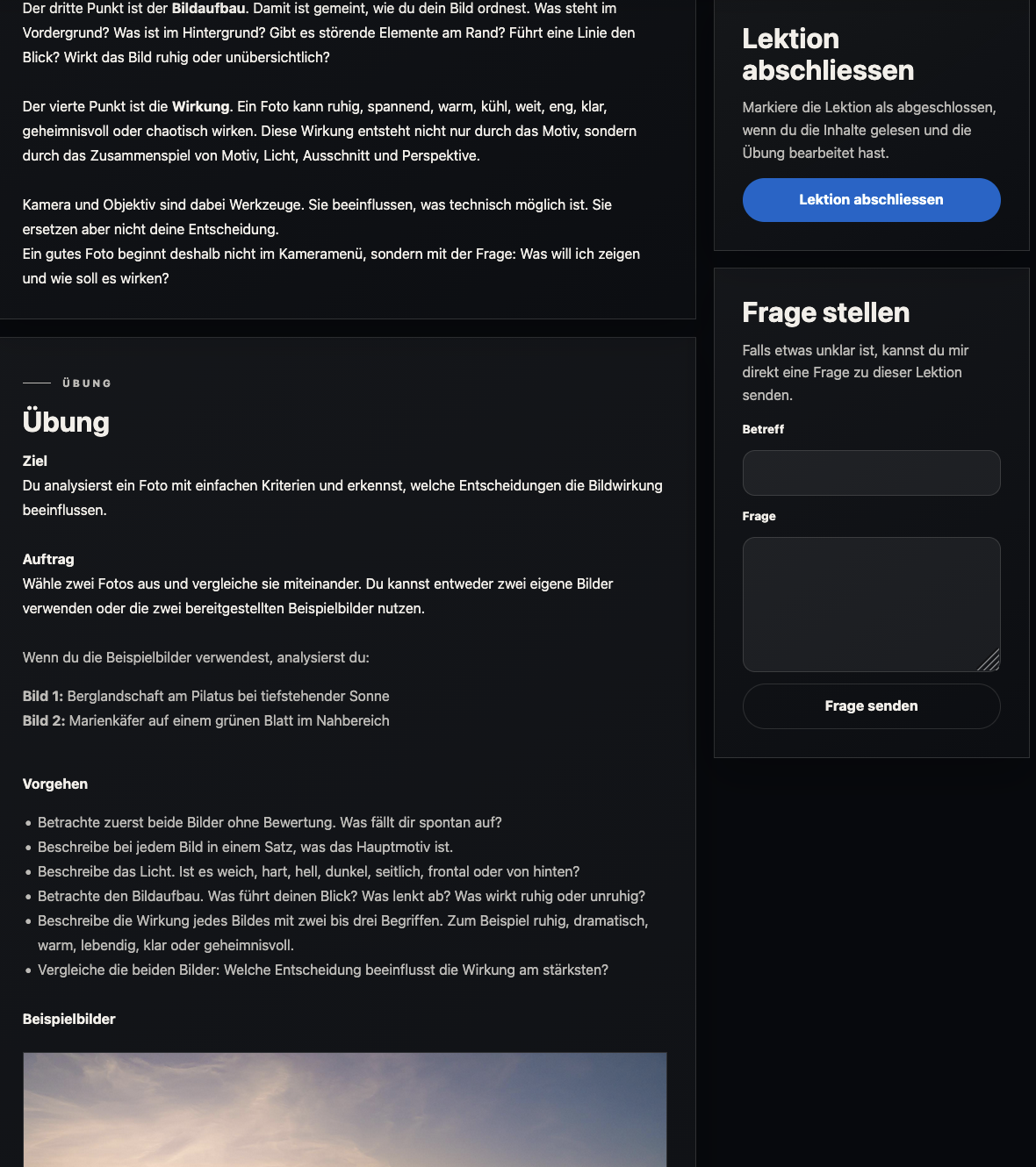 Printscreen einer Kurslektion mit Inhalt und Seitenleiste