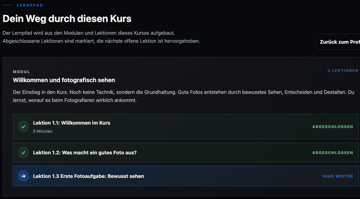 Printscreen des Lernpfads mit Modulen und Lektionen