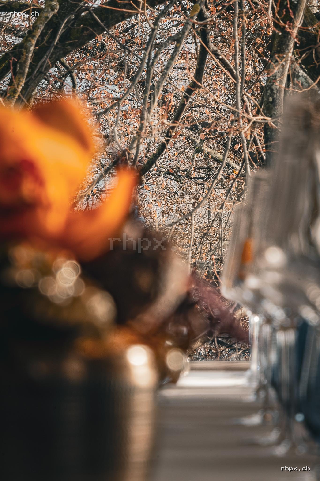 Softly blurred table decoration and glasses in the foreground with a view through a window onto winter trees.