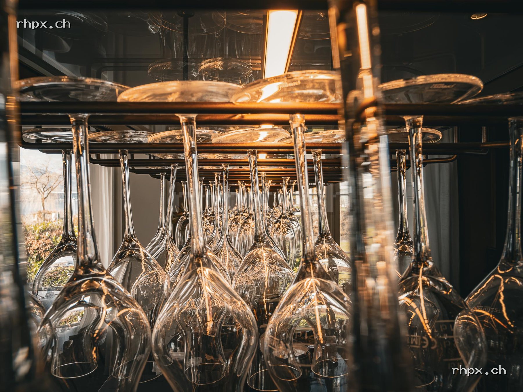 Wine glasses hanging upside down in a glass rack, reflecting warm light in an interior space.