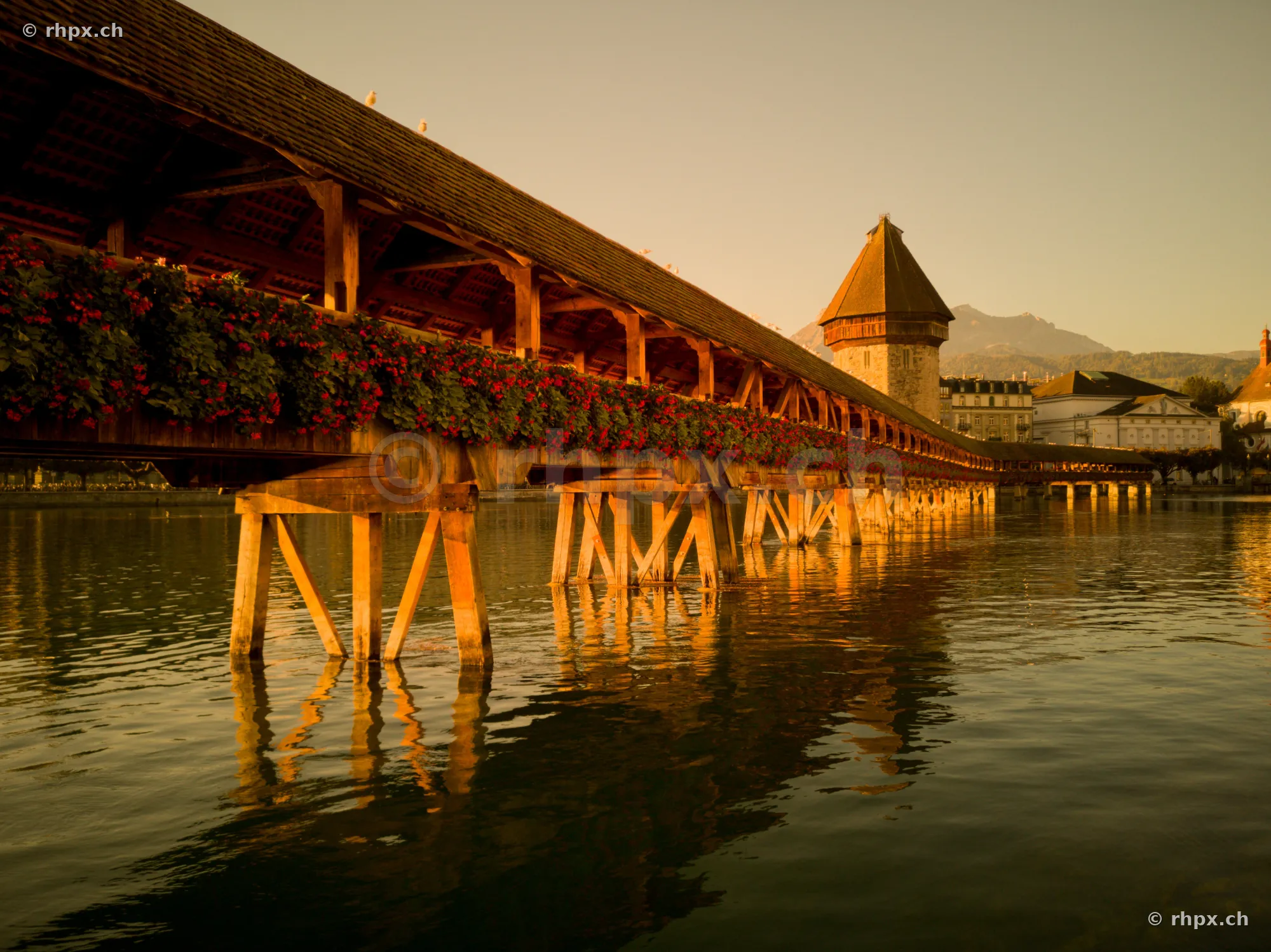 Historic Chapel Bridge with flowers and Water Tower in Lucerne at dusk