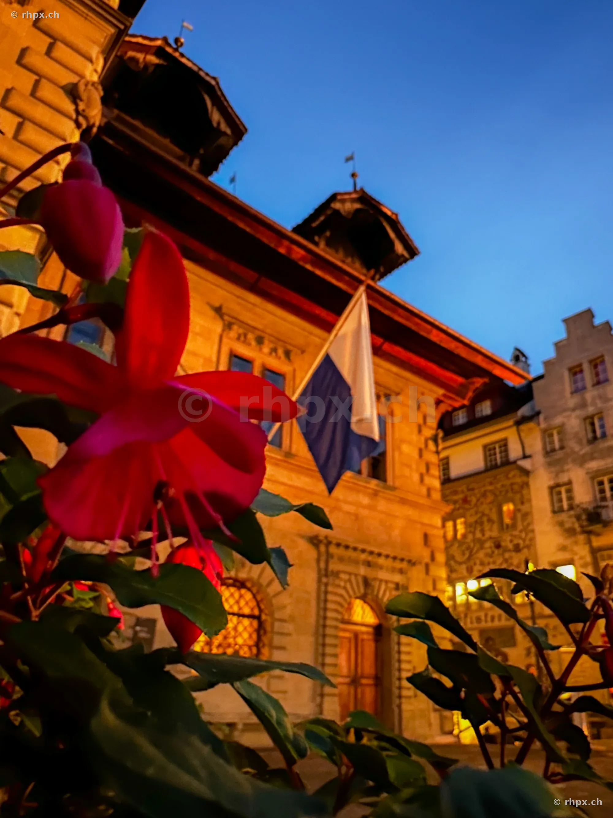 Blühende Fuchsien im Vordergrund vor dem beleuchteten Luzerner Rathaus bei Dämmerung