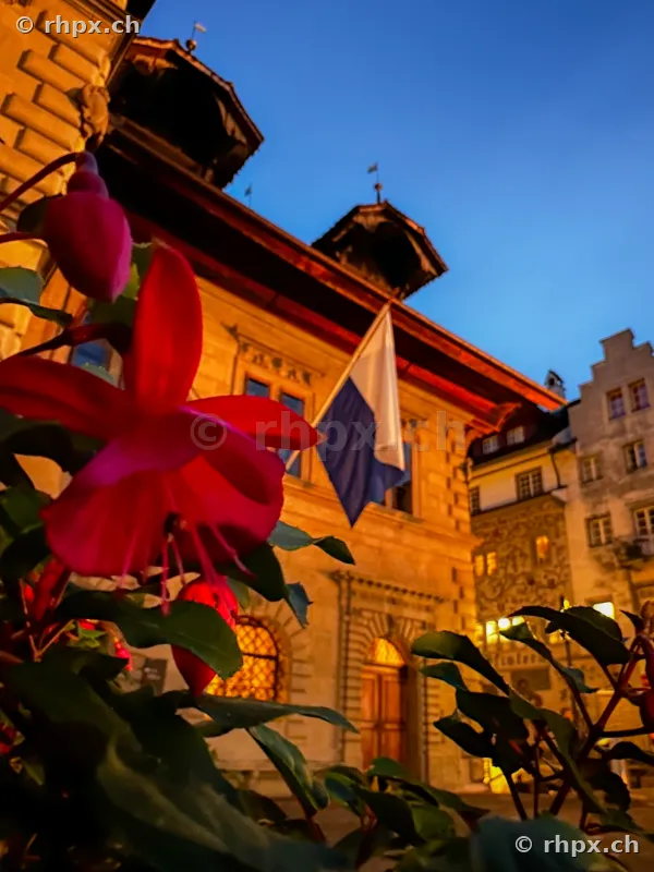 Blühende Fuchsien im Vordergrund vor dem beleuchteten Luzerner Rathaus bei Dämmerung