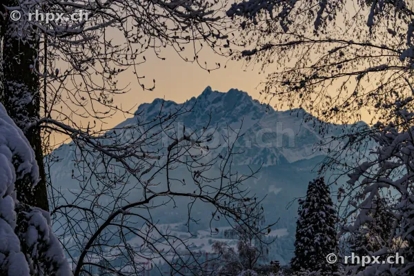 Blick durch verschneite Äste auf den Pilatus bei Dämmerlicht