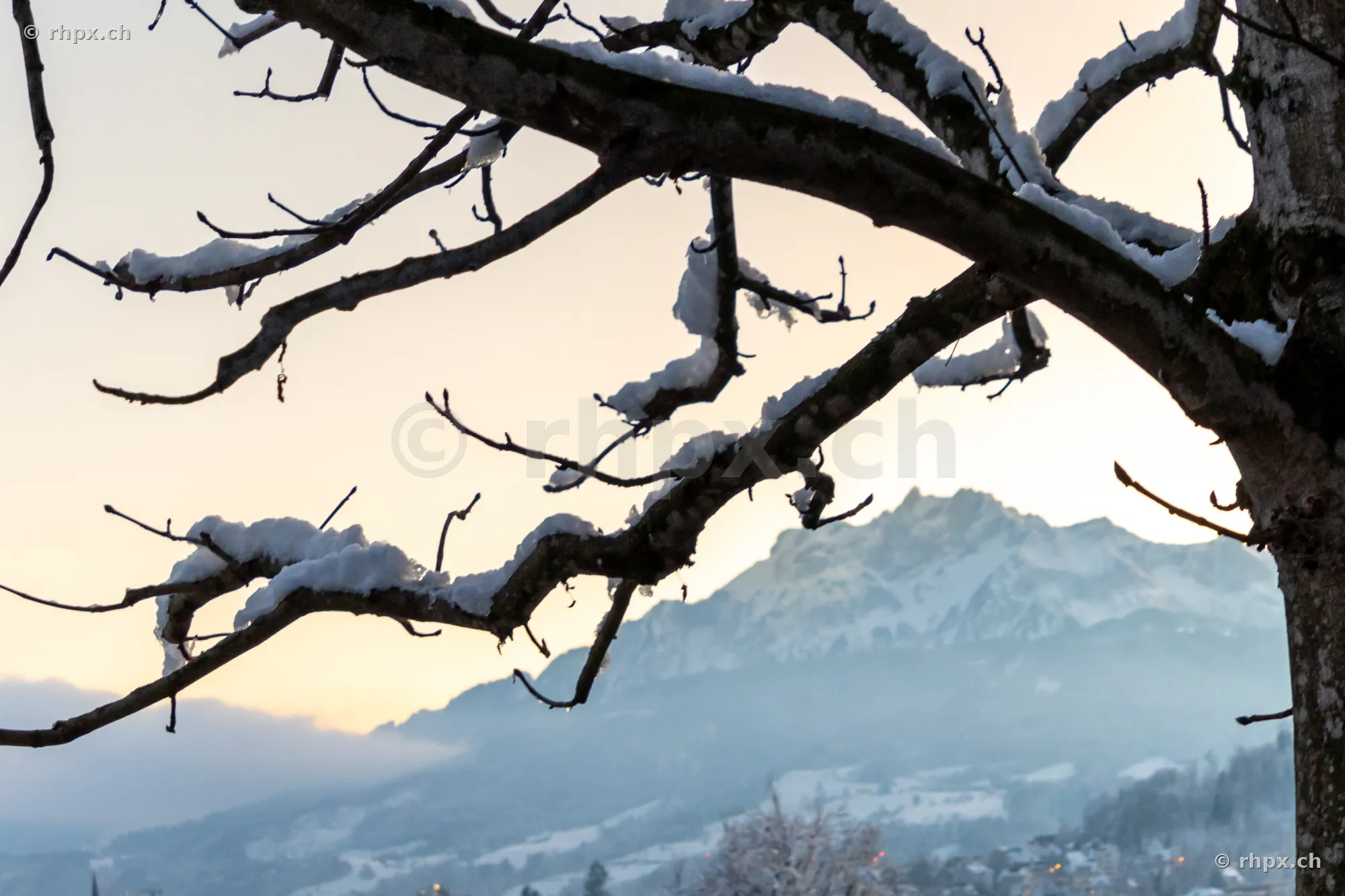 Verschneiter Baumzweig im Vordergrund mit dem Pilatus im Hintergrund bei dämmrigem Licht.