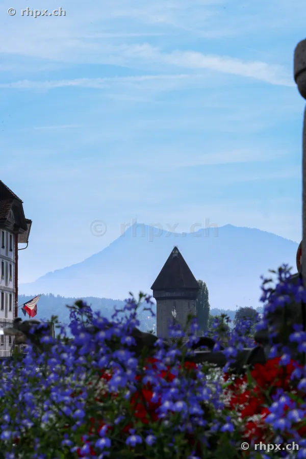 Lucerne water tower and Chapel Bridge with Mount Pilatus in the background and flowers in the foreground.