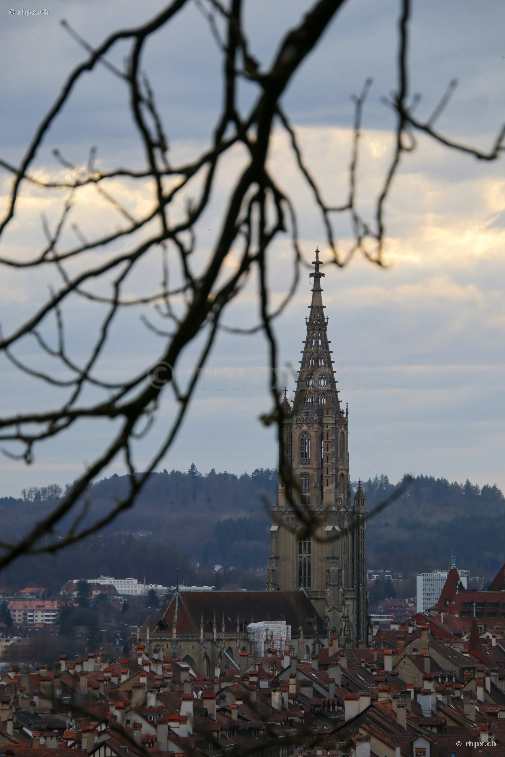 Blick auf das Berner Münster über den Dächern der Berner Altstadt