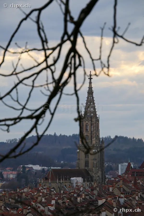 Blick auf das Berner Münster über den Dächern der Berner Altstadt