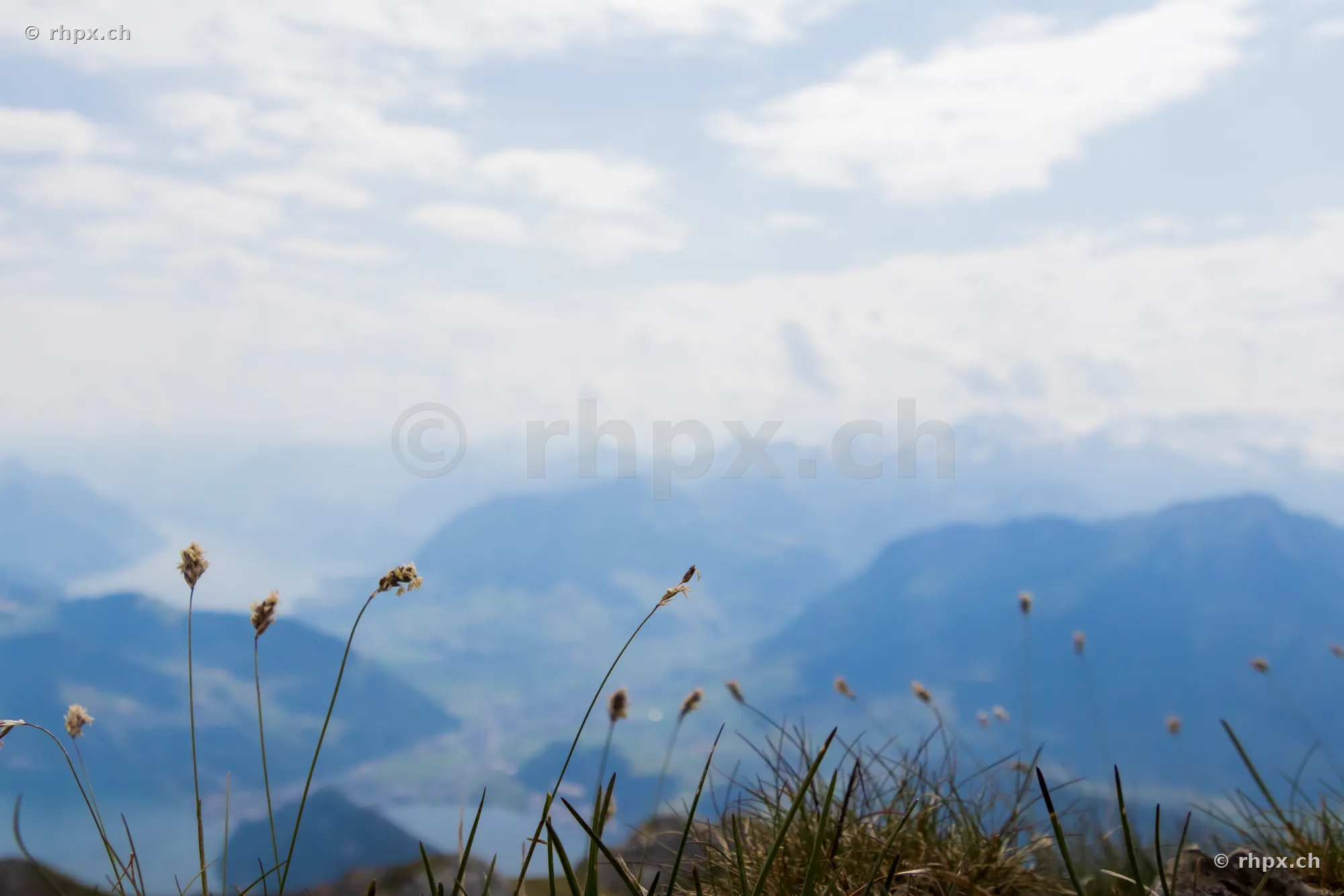 Foreground with grasses in front of the blurred panorama of Lake Lucerne seen from Mount Pilatus