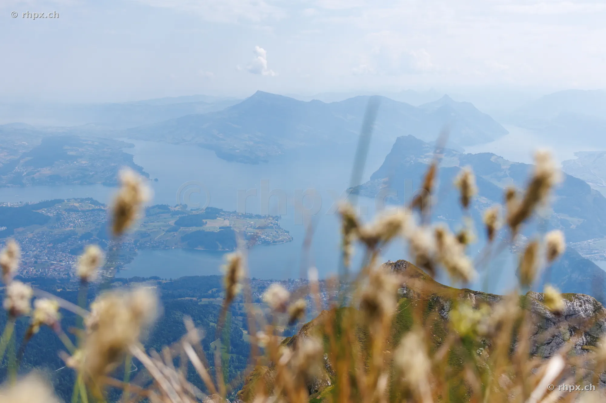 View from a mountain peak over Lake Lucerne with blurred grasses in the foreground