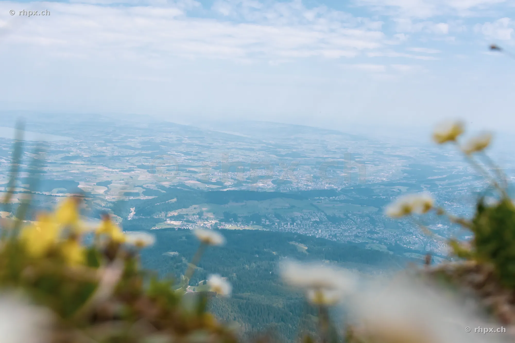 Blick von hoch oben vom Pilatus über das Schweizer Mittelland mit unscharfen Blumen im Vordergrund