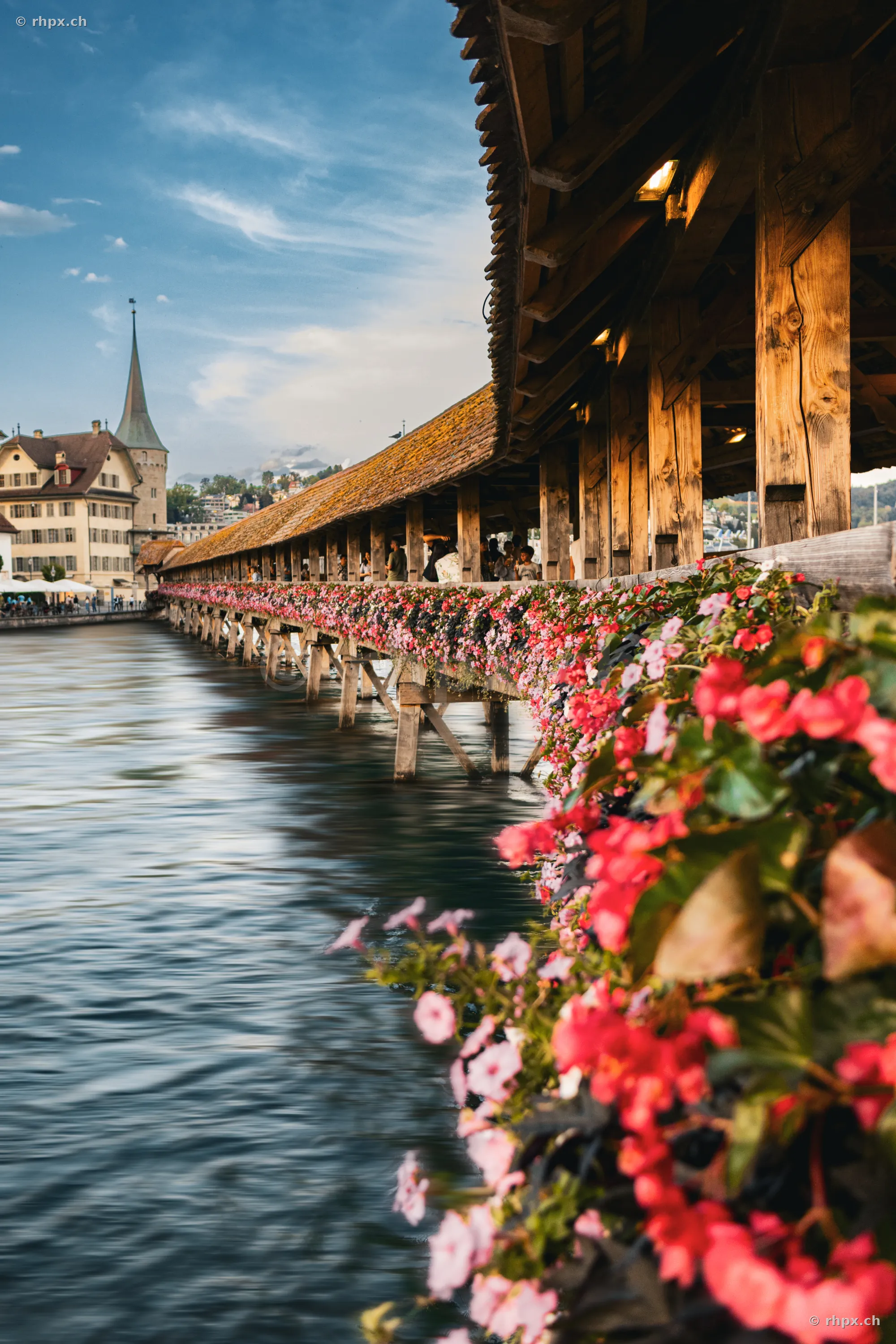 Perspective through the Chapel Bridge in Lucerne with blooming geraniums along the Reuss river