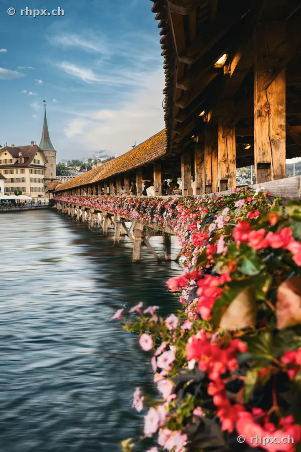 Perspective through the Chapel Bridge in Lucerne with blooming geraniums along the Reuss river