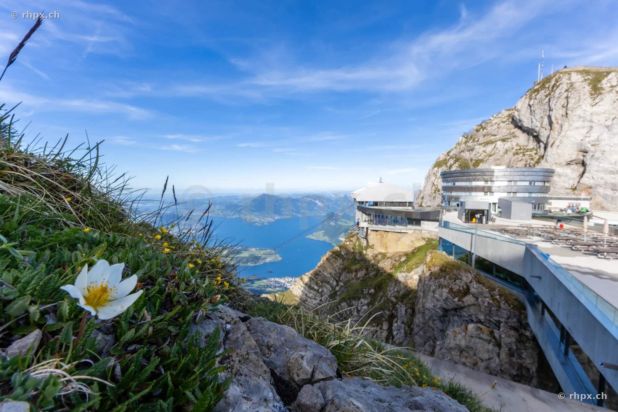Pilatus Kulm mountain station overlooking Lake Lucerne with a white flower in the foreground