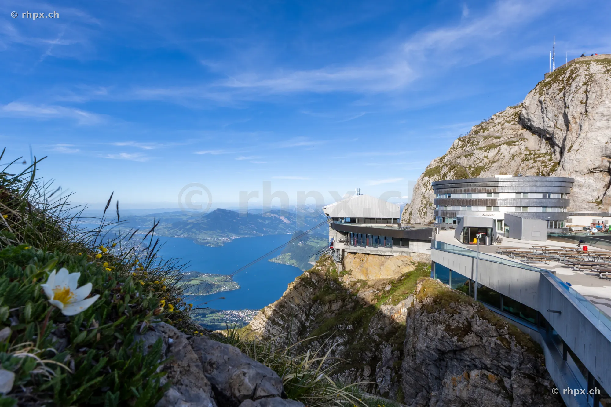 Alpine flower in the foreground, hotel building and cable car station on Mount Pilatus overlooking Lake Lucerne.