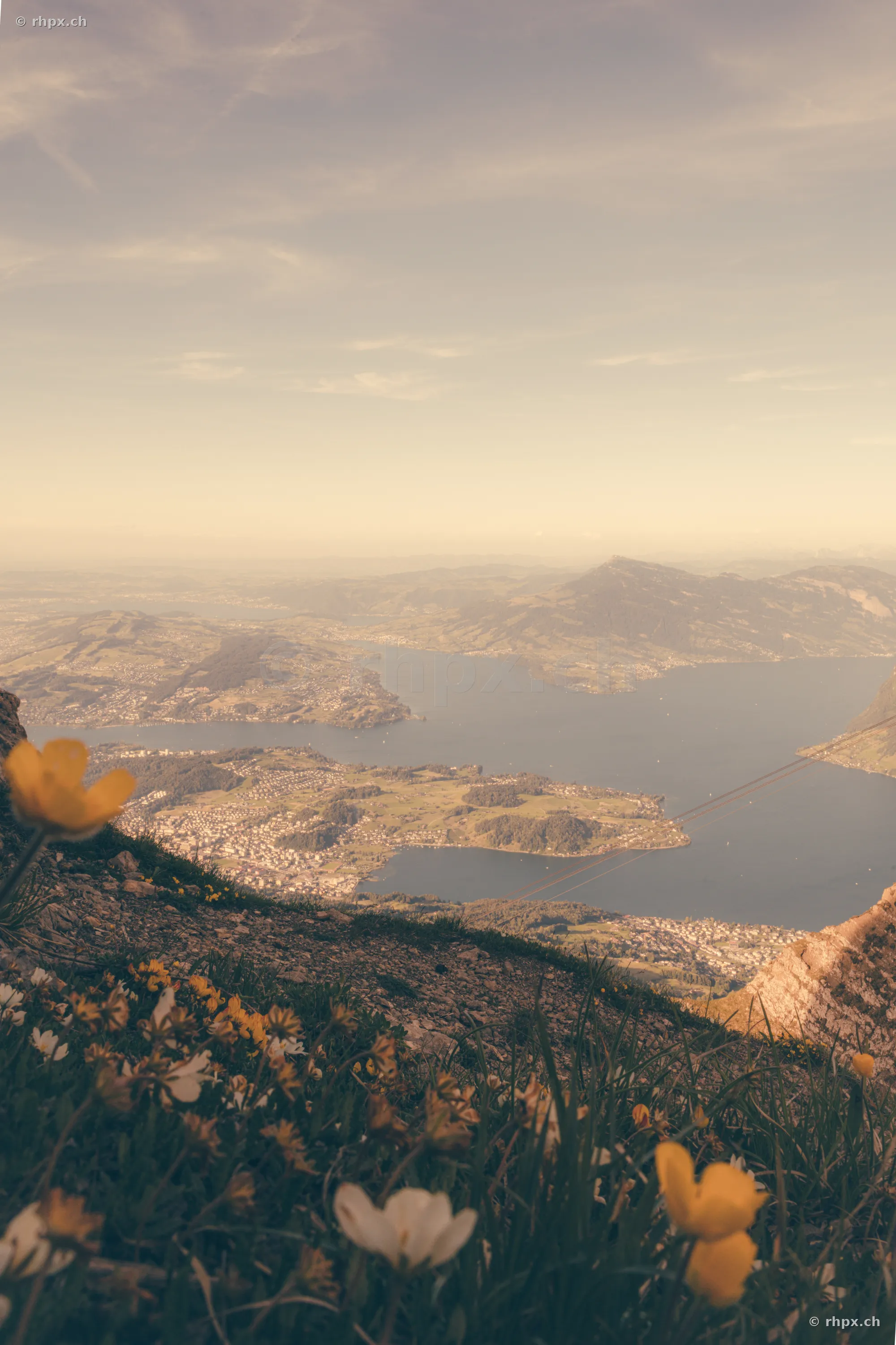 Alpine flowers in the foreground with a view from Mount Pilatus towards Lake Lucerne and the Central Swiss landscape