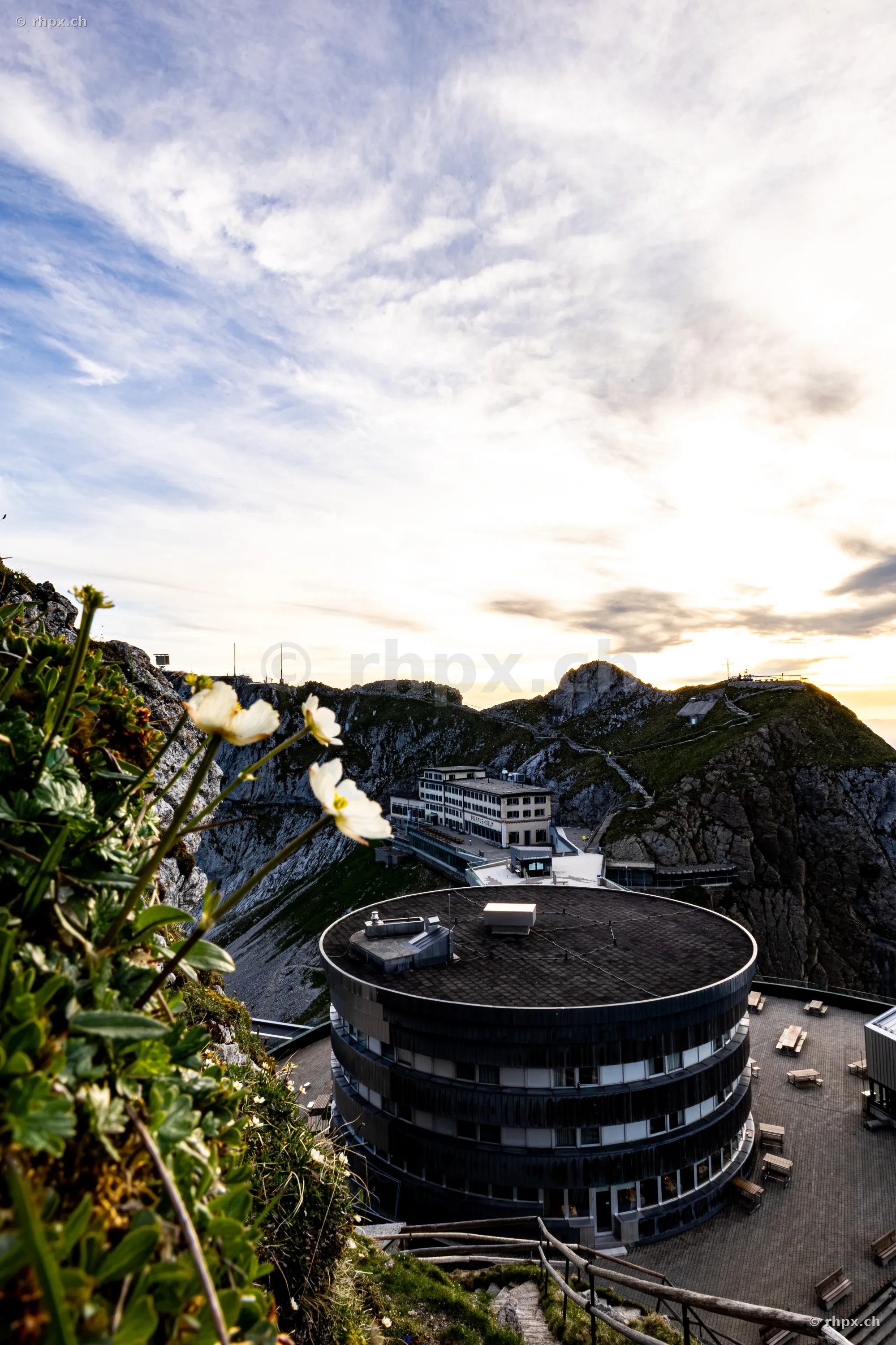 Blick auf das Hotel Pilatus-Kulm mit den Berggipfeln und Blumen im Vordergrund