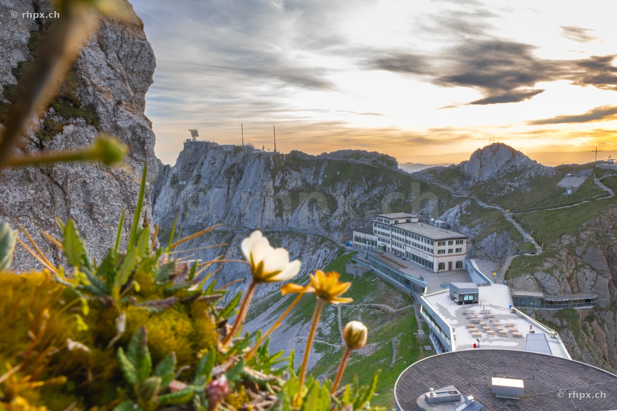 Blick auf das Hotel Pilatus Kulm mit alpiner Vegetation im Vordergrund