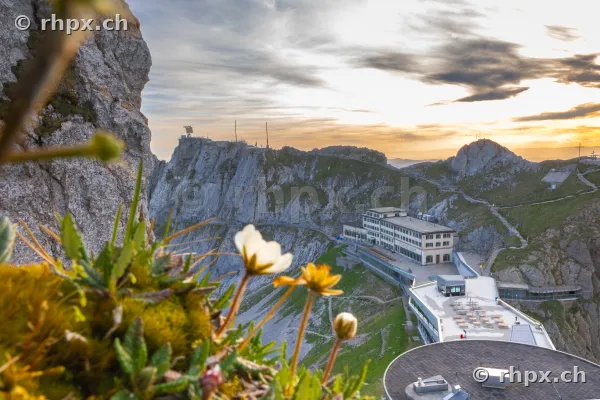 Blick auf das Hotel Pilatus Kulm mit alpiner Vegetation im Vordergrund