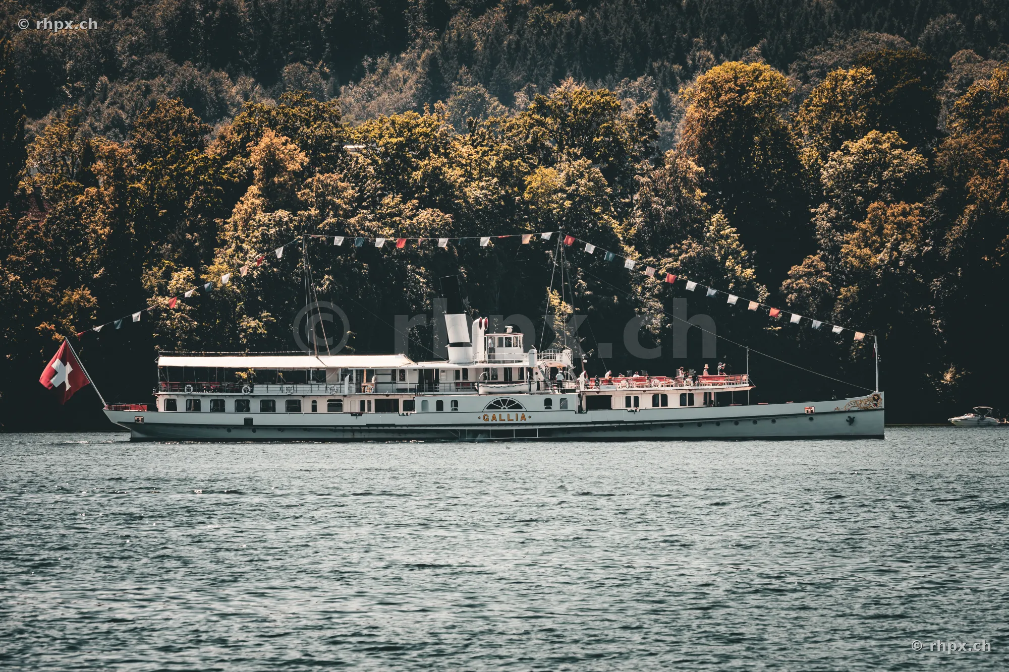 Seitenansicht des Raddampfers Gallia auf dem Vierwaldstättersee mit bewaldetem Ufer im Hintergrund