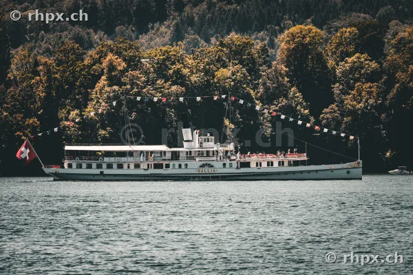 Seitenansicht des Raddampfers Gallia auf dem Vierwaldstättersee mit bewaldetem Ufer im Hintergrund
