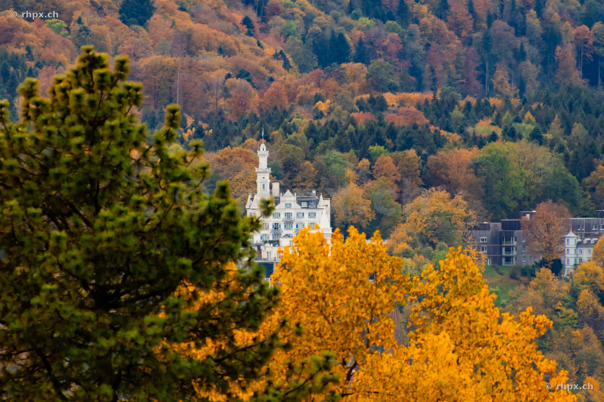 Château Gütsch in Luzern eingebettet in einen herbstlich gefärbten Wald