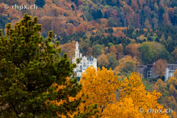 Château Gütsch in Luzern eingebettet in einen herbstlich gefärbten Wald