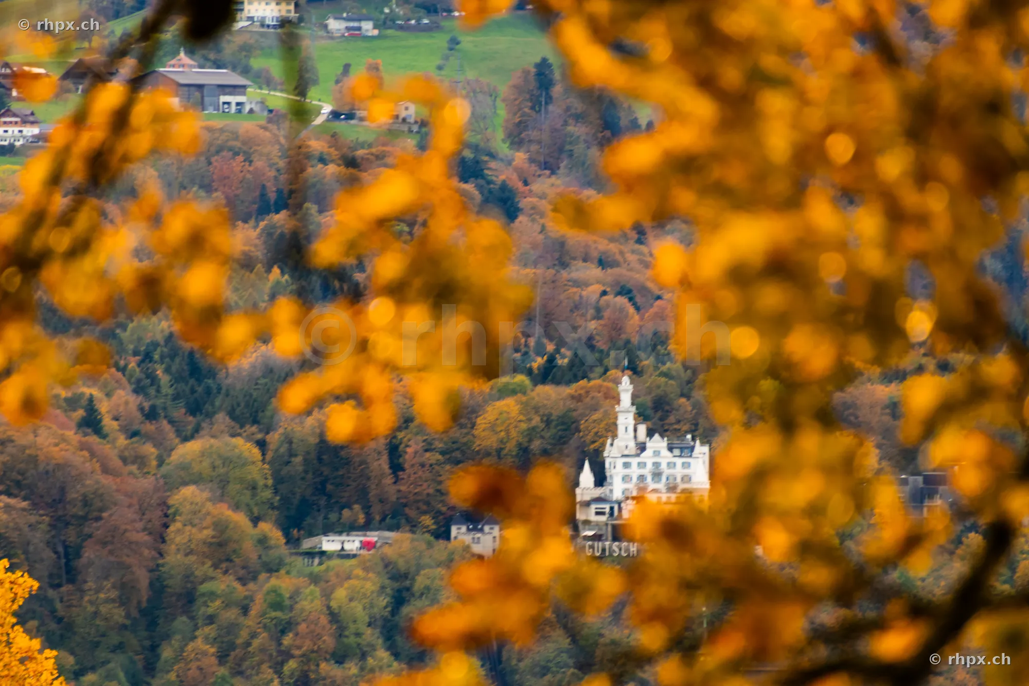 Blick durch herbstliche Blätter auf das Schloss Gütsch in Luzern