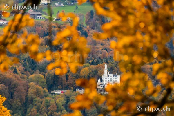 Blick durch herbstliche Blätter auf das Schloss Gütsch in Luzern