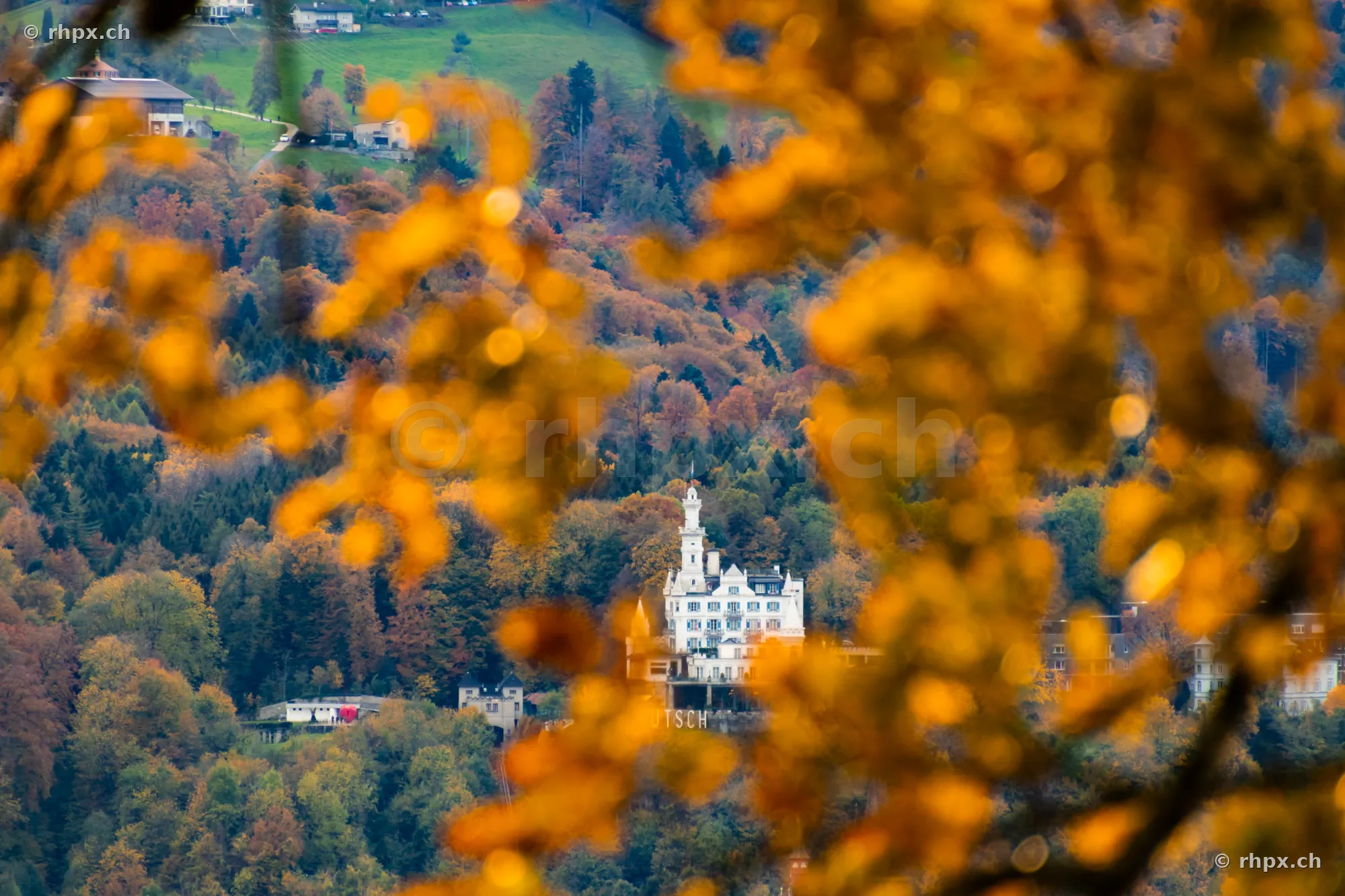 Blick auf das Schloss Gütsch in Luzern, umrahmt von unscharfen herbstlichen Blättern im Vordergrund