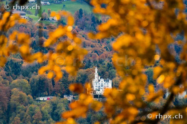 Blick auf das Schloss Gütsch in Luzern, umrahmt von unscharfen herbstlichen Blättern im Vordergrund