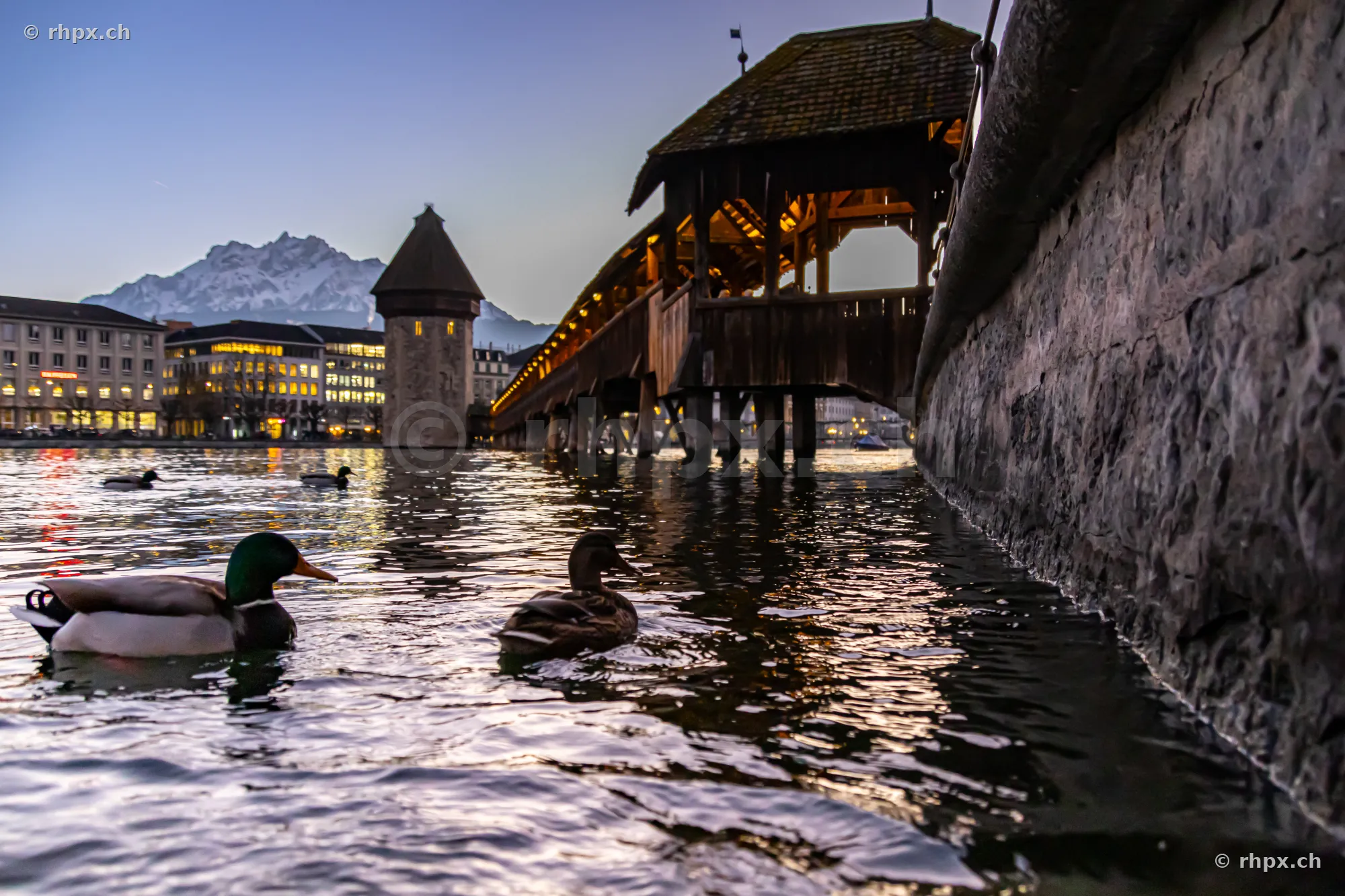 Chapel Bridge and Water Tower in Lucerne at twilight with ducks in the foreground