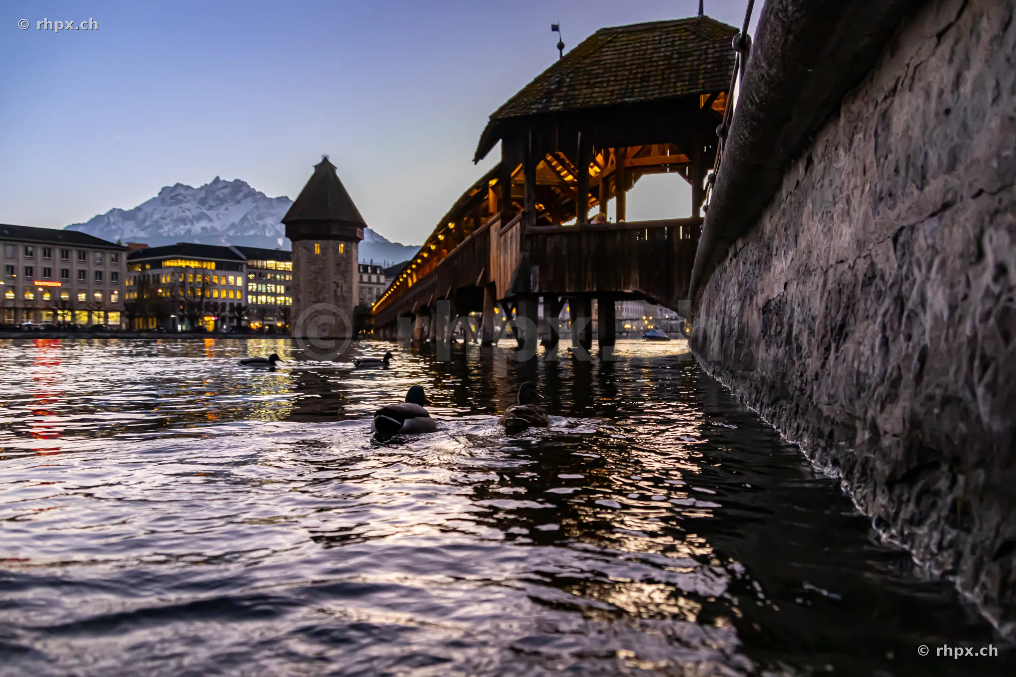 Chapel Bridge and Water Tower in Lucerne with ducks swimming at twilight