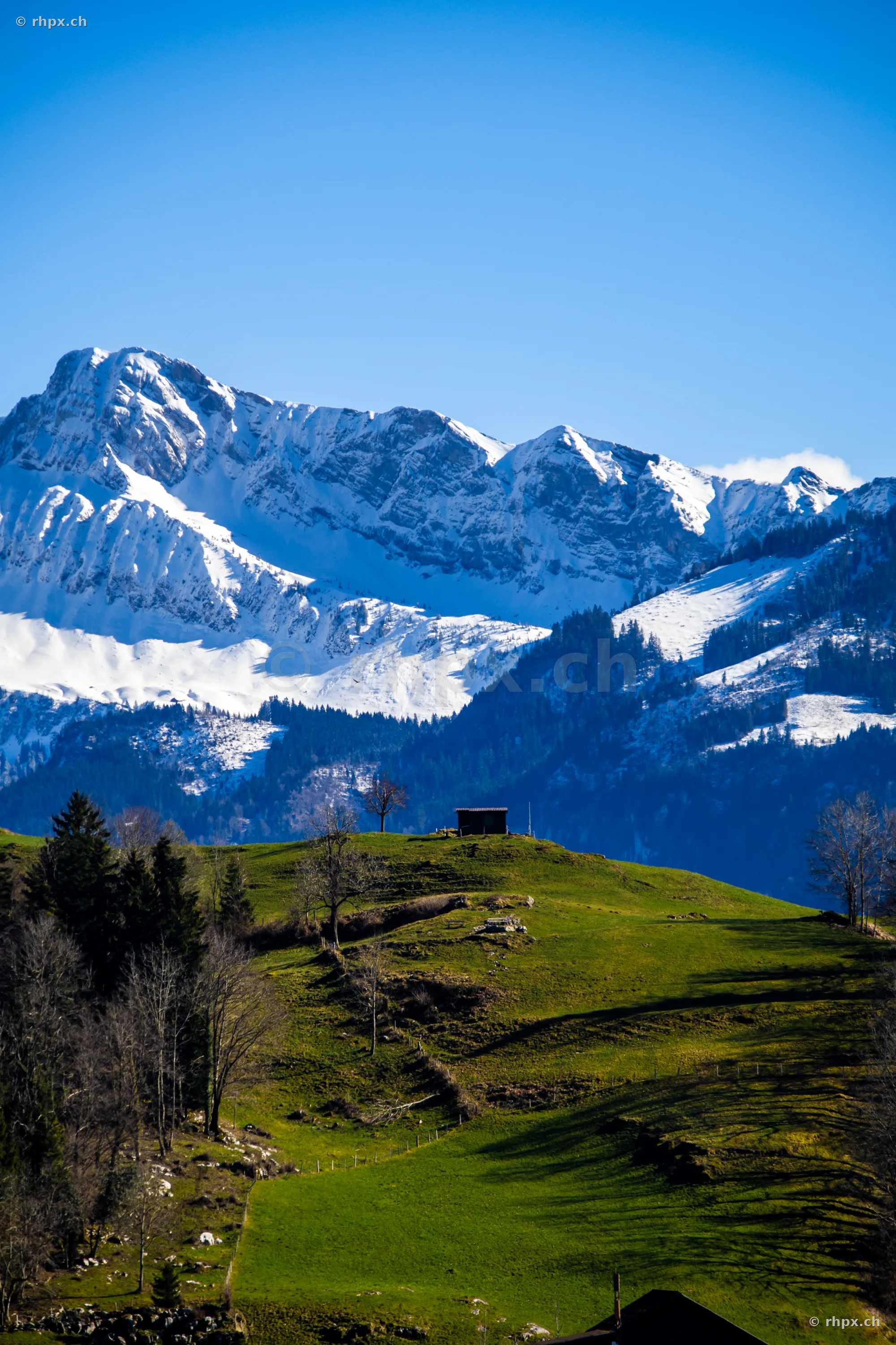 Eine kleine Hütte auf einer grünen Wiese mit schneebedeckten Bergen im Hintergrund