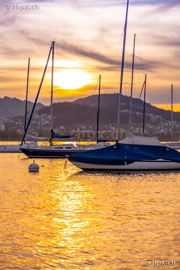 Sailboats on Lake Lucerne at sunset in front of the Lucerne coastline