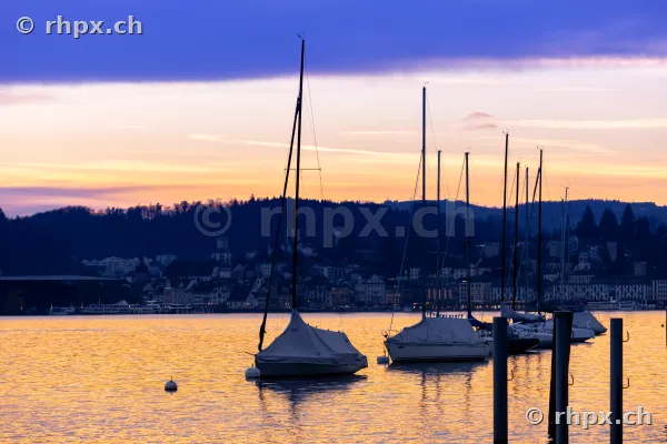 Sailboats on Lake Lucerne with the city of Lucerne in the background at sunset.