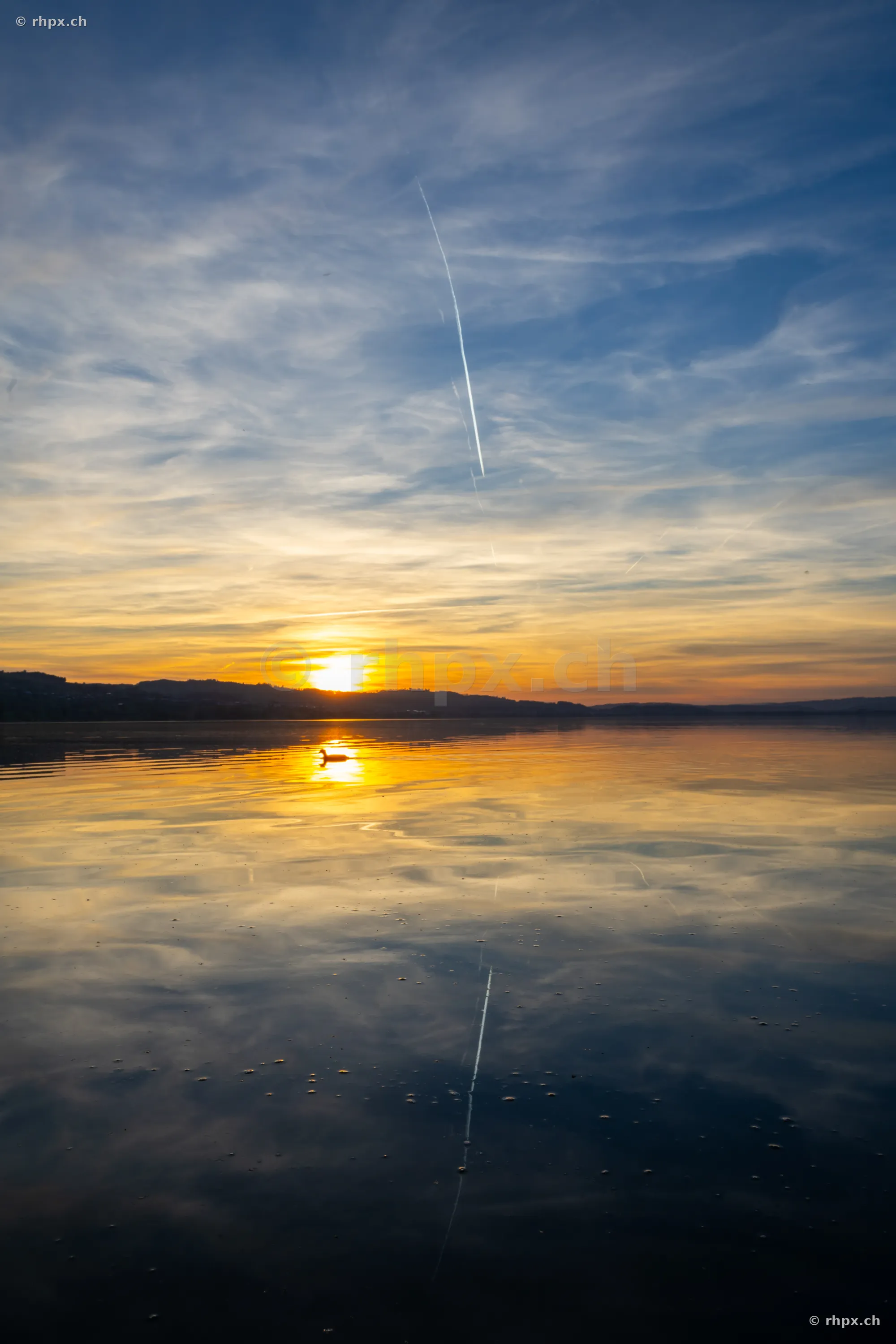 Stimmungsvoller Sonnenuntergang über dem Sempachersee mit einzelnem Vogel auf dem Wasser