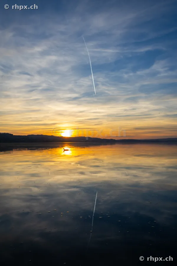 Stimmungsvoller Sonnenuntergang über dem Sempachersee mit einzelnem Vogel auf dem Wasser