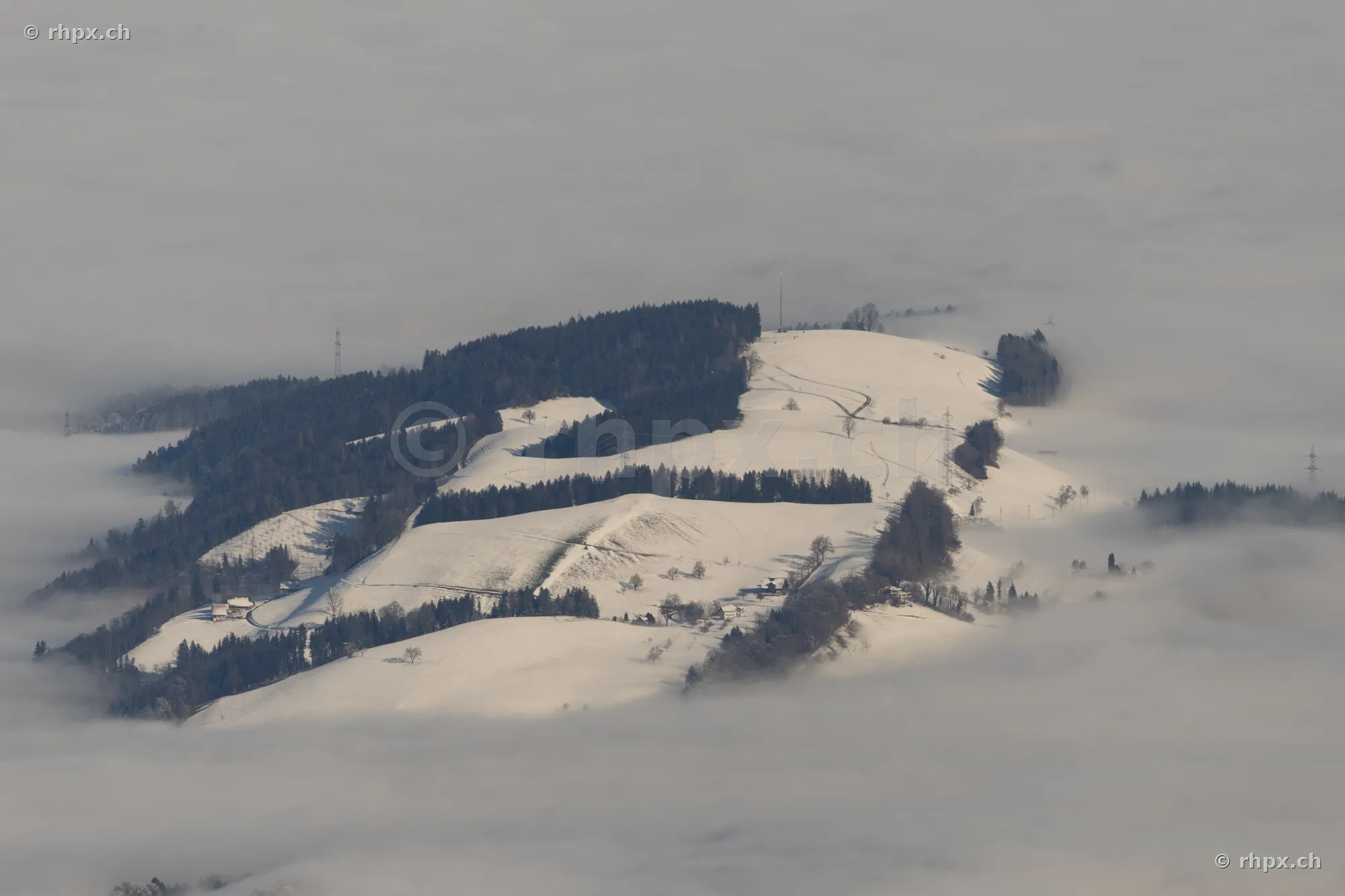 Verschneite bewaldete Hügelkuppe, die aus einer dichten Nebeldecke in der Zentralschweiz herausragt.