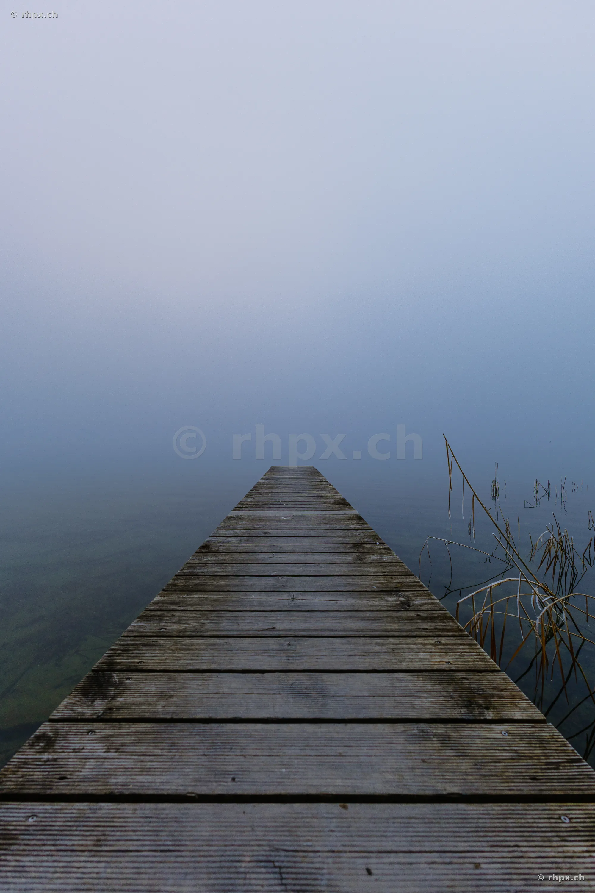 Holzsteg führt in den nebligen Sempachersee
