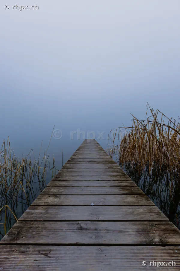 Ein gerader Holzsteg führt in die dichte Nebelsuppe über dem Sempachersee.