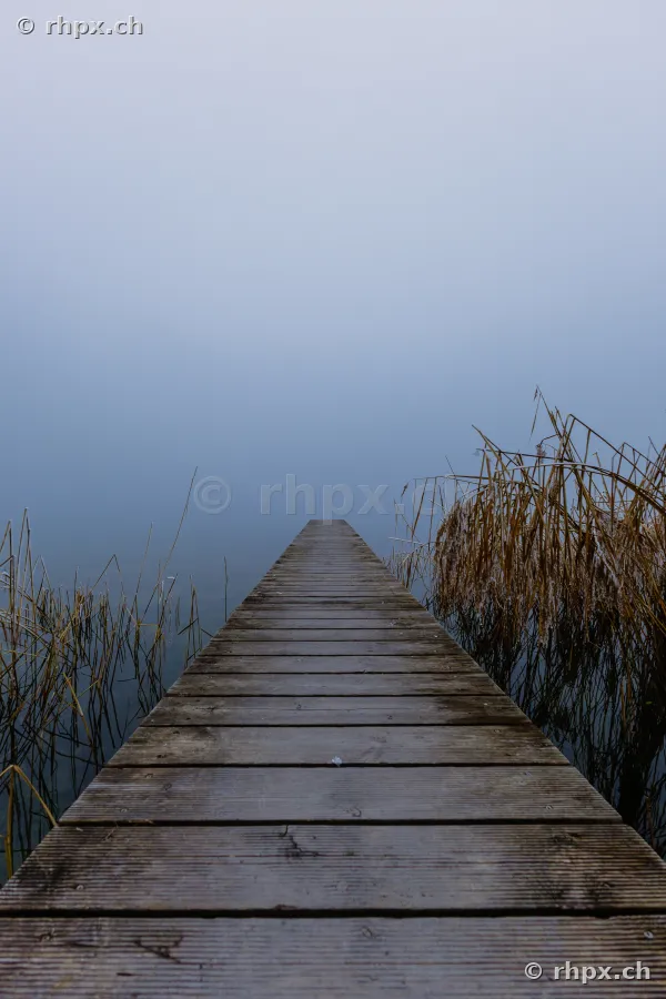 Ein gerader Holzsteg führt in den nebligen Sempachersee, eingerahmt von Schilf.