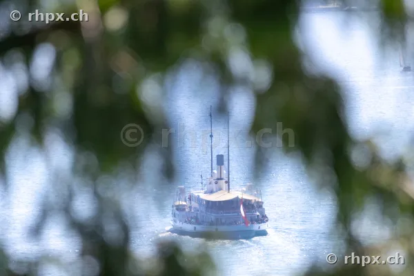 View through tree leaves of a passenger ship on Lake Lucerne
