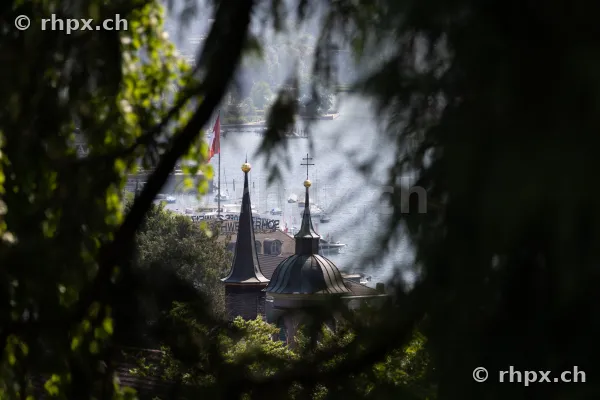 Towers and Lake Lucerne, framed by tree branches