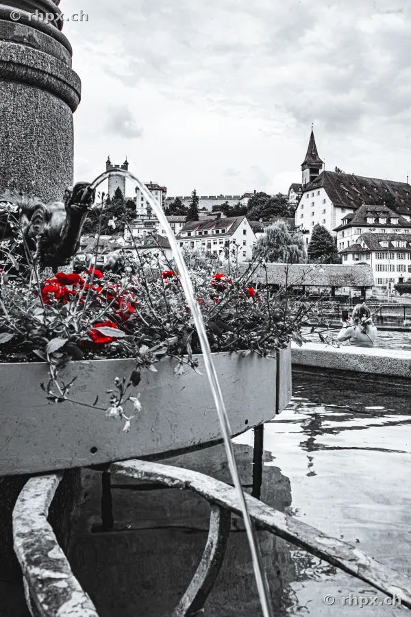 Detail eines Brunnens mit rotem Blumenschmuck und Blick auf die Museggmauer in Luzern