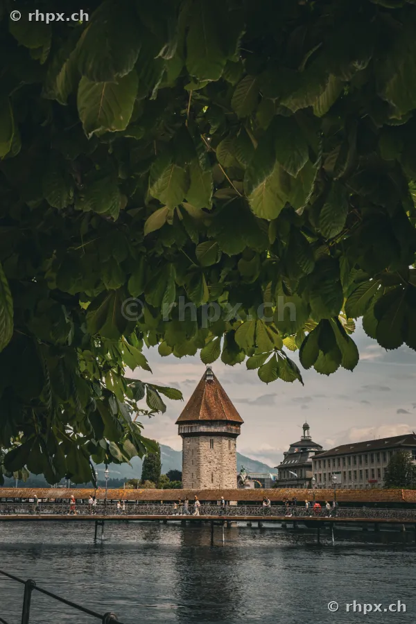 View through foliage of the Chapel Bridge and Water Tower in Lucerne