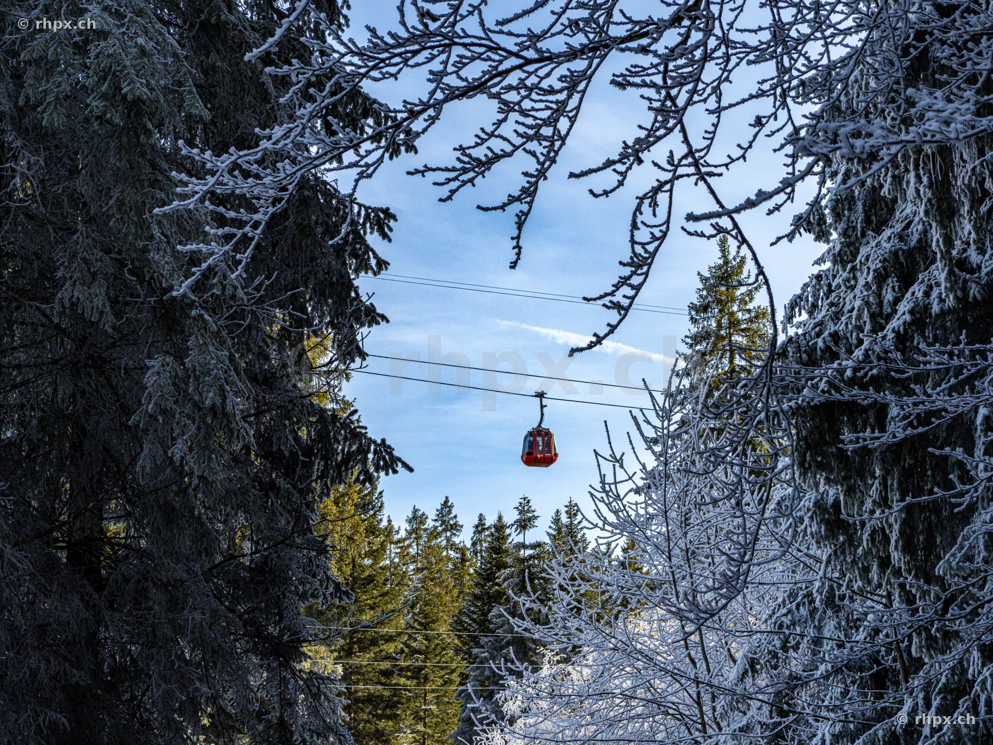 A red cable car of the Pilatus mountain railway moves through a snow-covered forest.