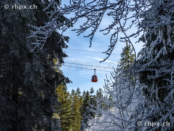A red cable car of the Pilatus mountain railway moves through a snow-covered forest.