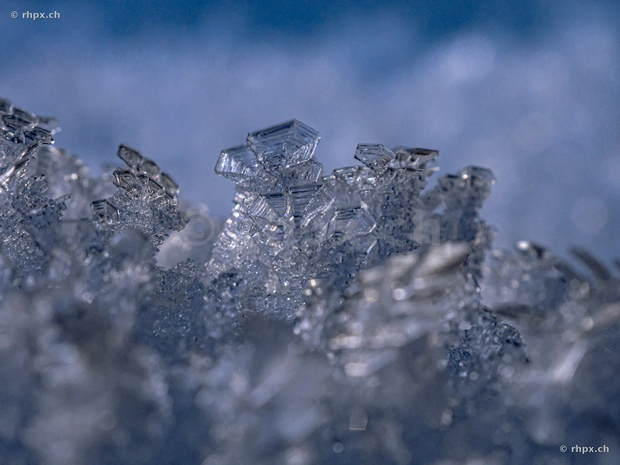 Close-up of complex ice crystals in winter daylight