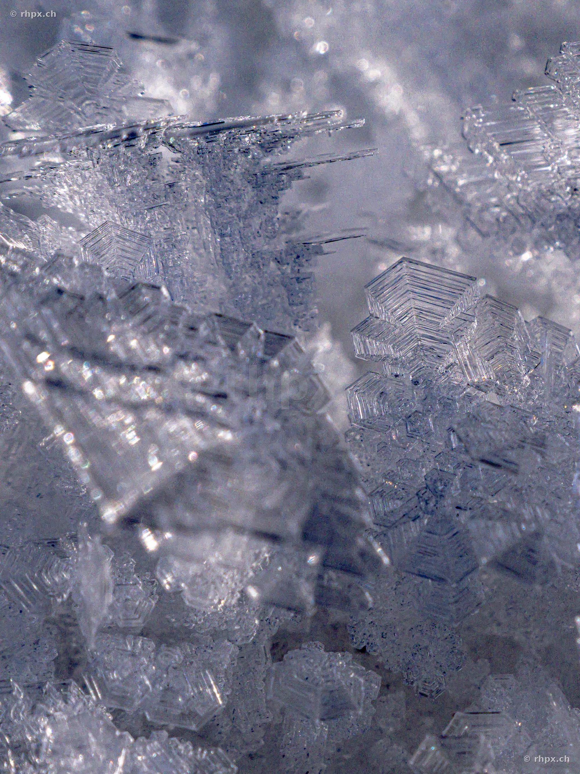 Stark vergrößerte Aufnahme von komplexen, geformten Eiskristallen auf Schnee